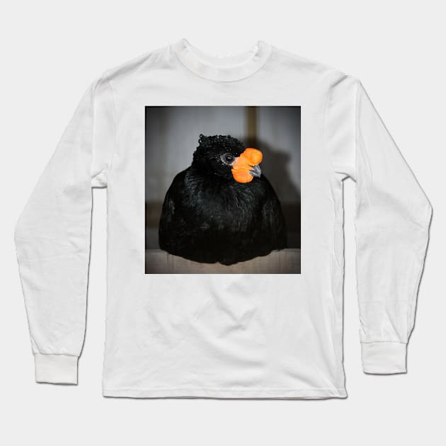 Black And Orange Long Sleeve T-Shirt by Cynthia48